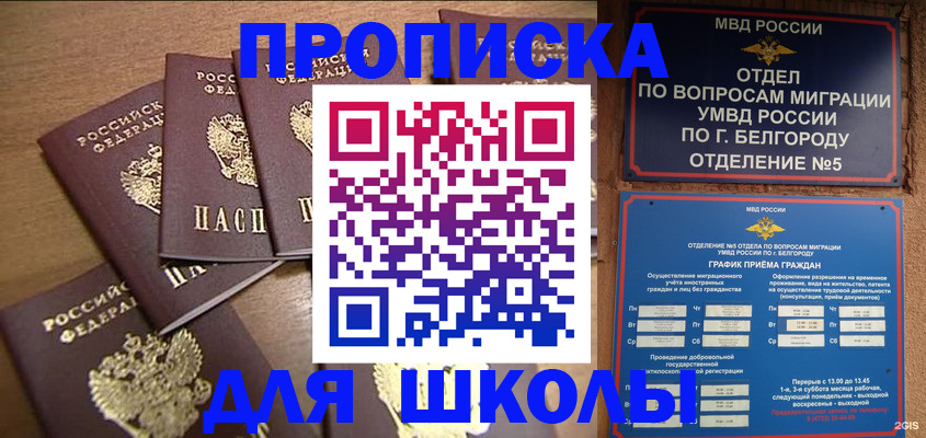 прописка гарантия в Сертолово